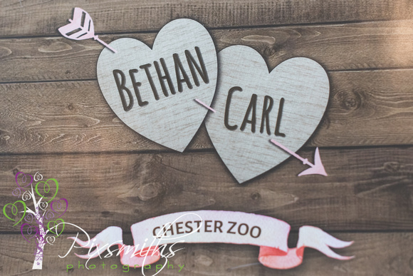 001 BC-Chester Zoo wedding